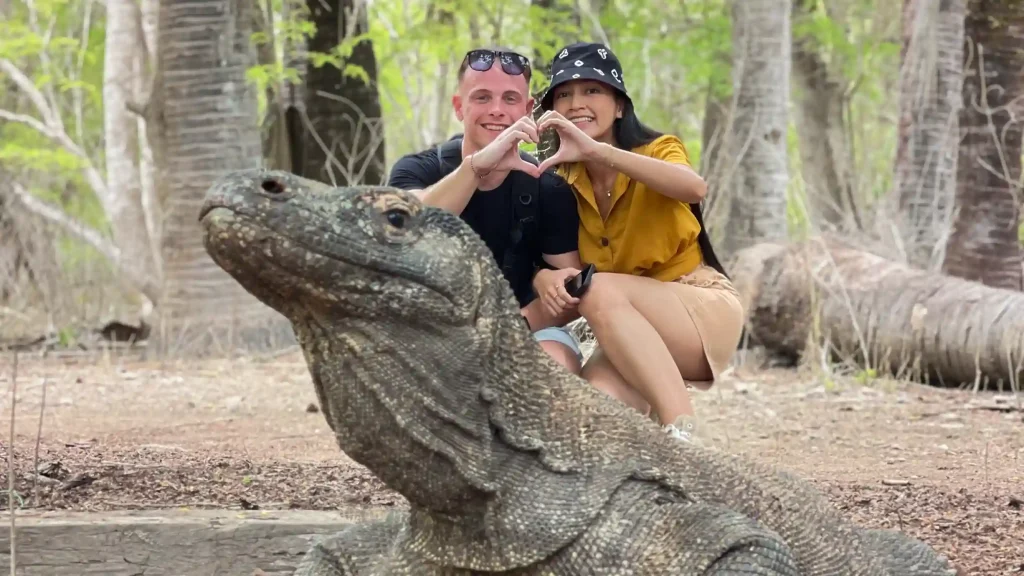 Visitors watching a Komodo dragon with a ranger in Komodo National Park