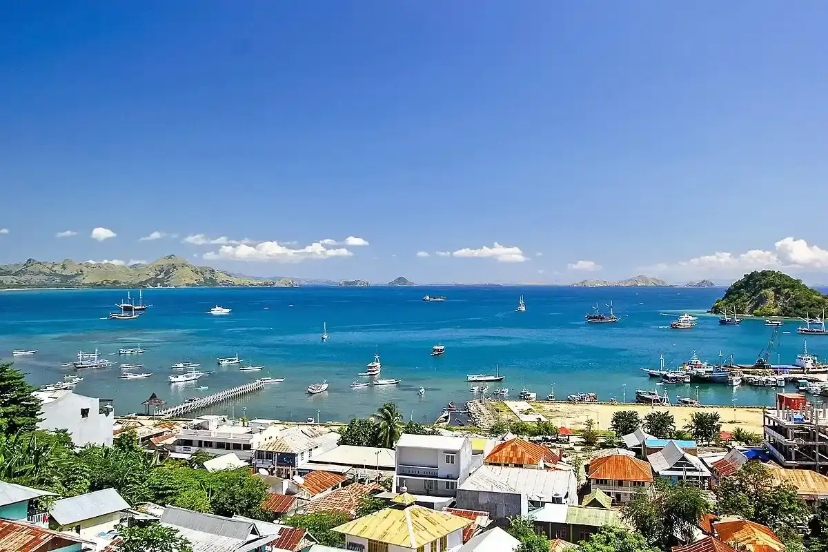 How to Get to Komodo Island in 2027: Flights, Ferries & Transfers From Bali