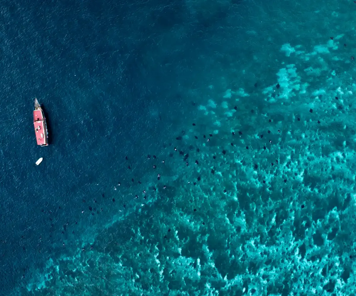 Discover the Top Dive Spots in Komodo: A Luxury Journey