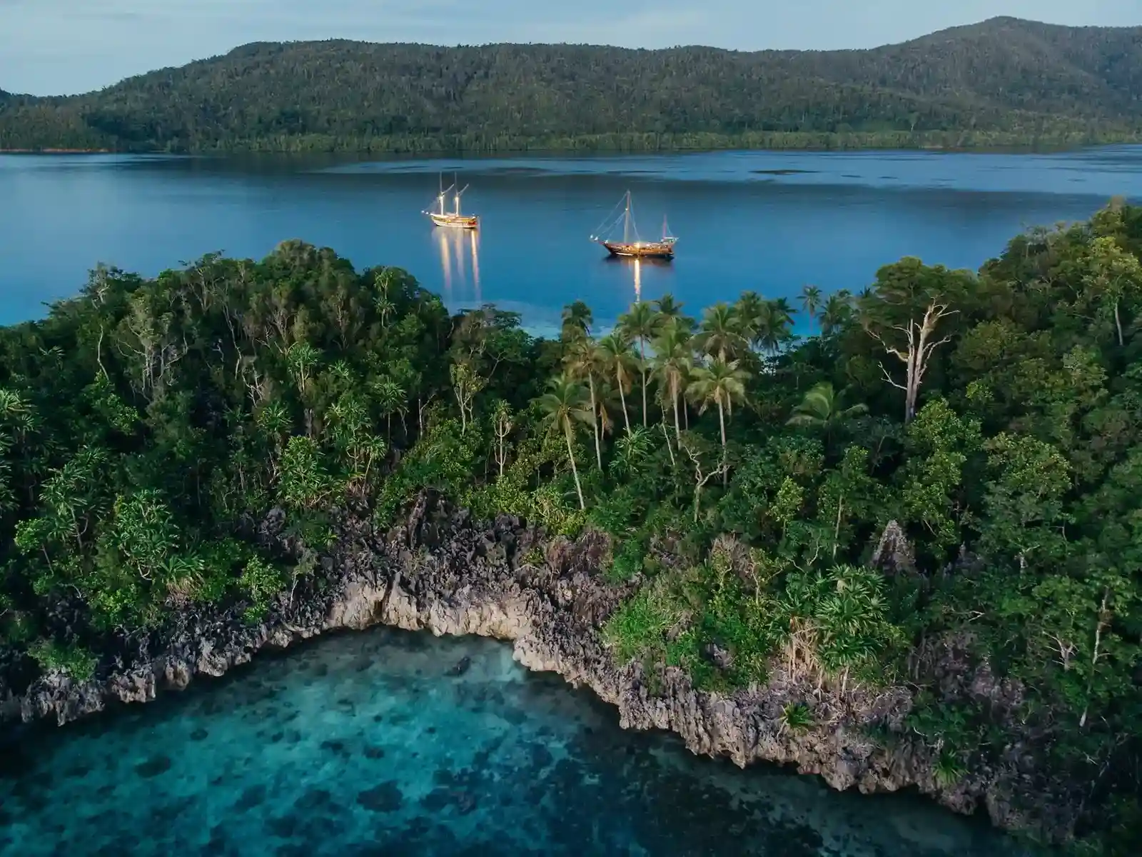 Komodo Island Resorts and Raja Ampat Marine Biodiversity: A Definitive Guide